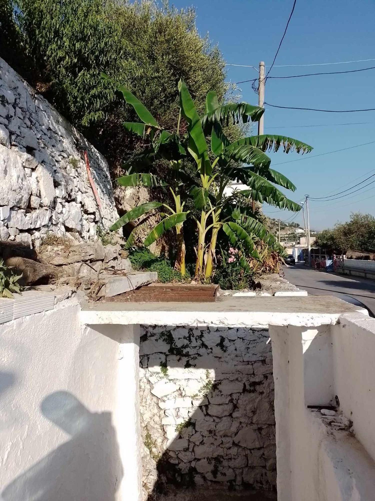 Vogklis House Hotel Qeparo Exterior photo